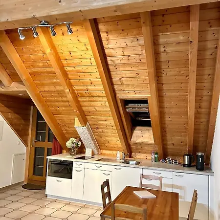 Dachwohnung In Flughafennaehe Kloten Exterior photo